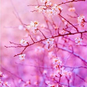 Meet your Posher, Jasmin